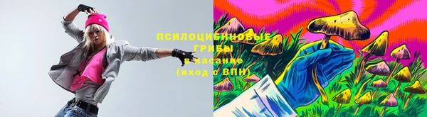 винт Кинешма