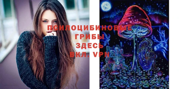 винт Кинешма