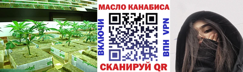 Купить  Елизаветинская  ТГК гашишное масло 
