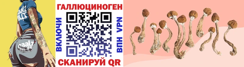 Купить где  Елизаветинская  Псилоцибиновые грибы MAGIC MUSHROOMS 