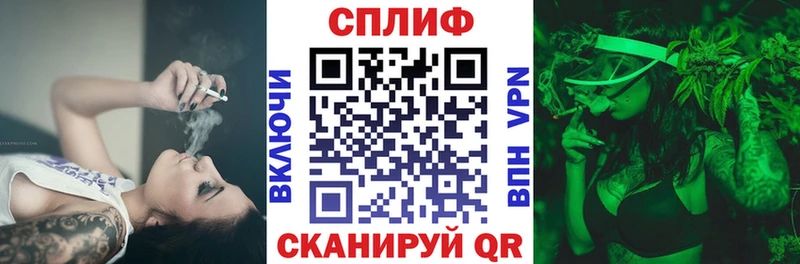 Бошки Шишки ГИДРОПОН  Купить где  Елизаветинская 